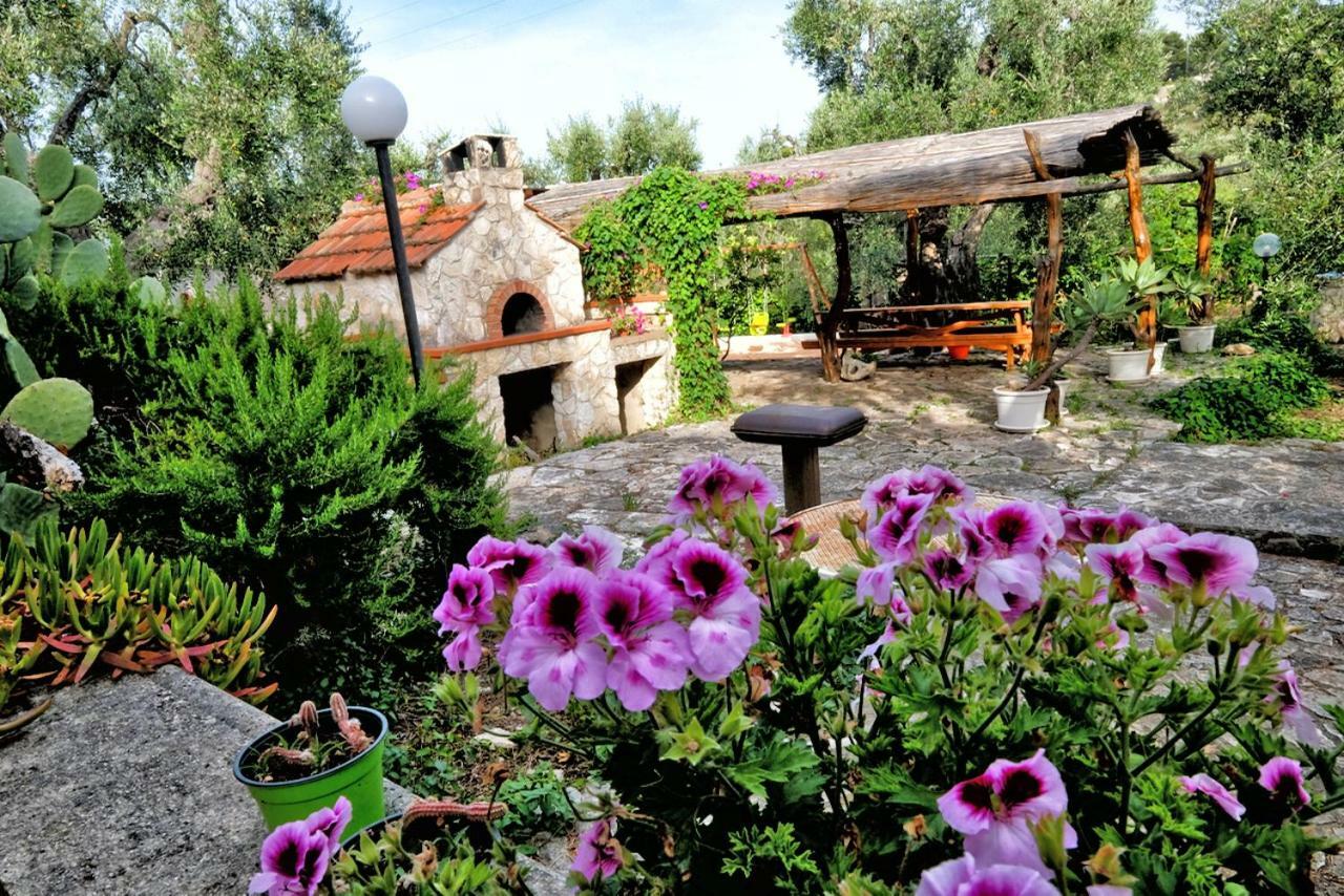 Terra Di Ulivo Villa Vieste Dış mekan fotoğraf