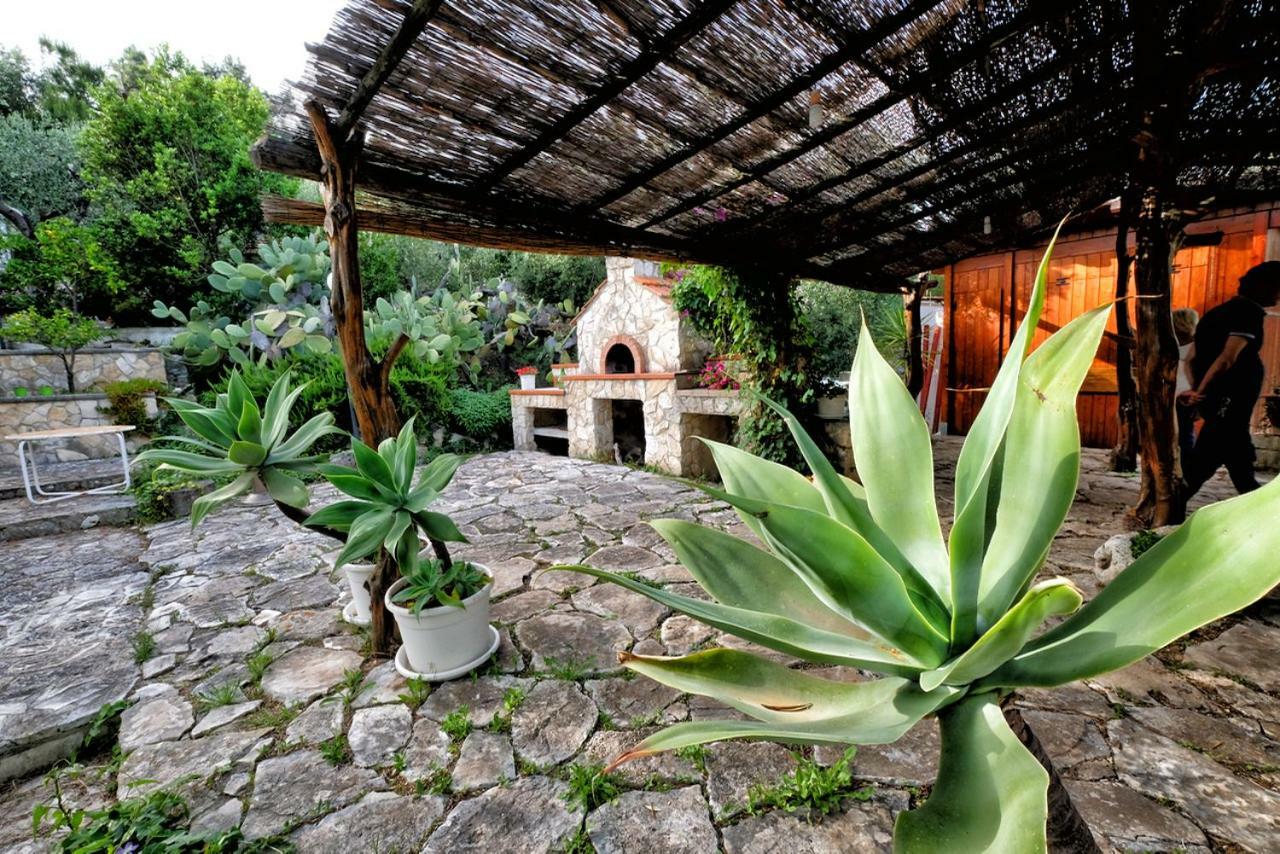 Terra Di Ulivo Villa Vieste Dış mekan fotoğraf